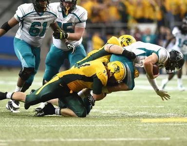 Mike Hardie, Kyle Emanuel sack