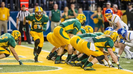Bison Offense