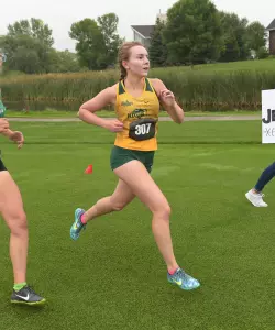 Mackenzie Holkesvig