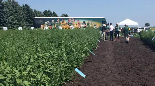 Photo of an NDSU Athletics bus parked in a field near event attendees.