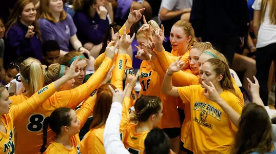 NDSU volleyball horns up after timeout