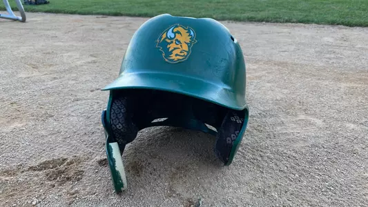Baseball Helmet