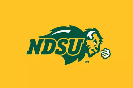 primary logo on yellow background