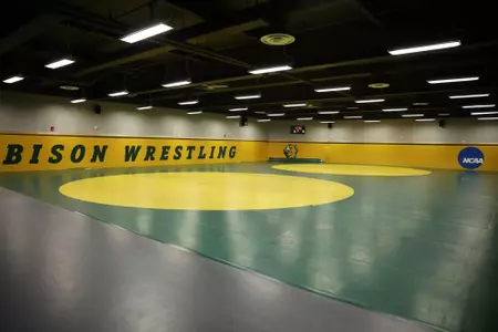 Wrestling mats