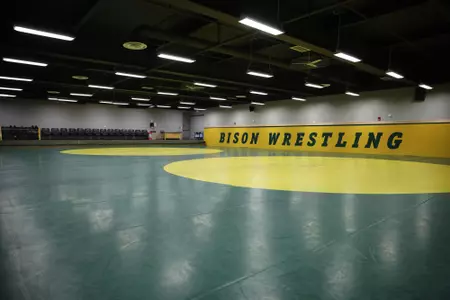 Wrestling mats