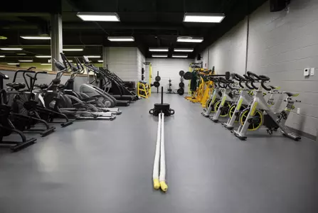 Strength and conditioning equipment
