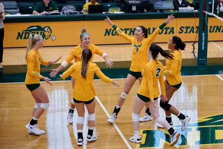 Team Celebration