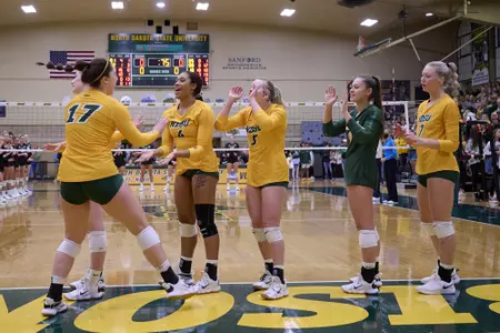 VB Team