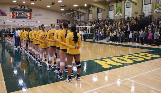 VB Team