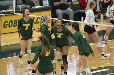 VB Team