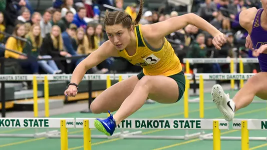 Bailee Dierks