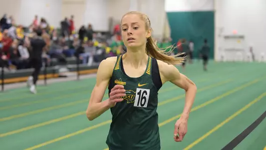 Allie Wahlund