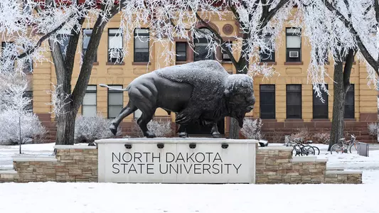 Bison statue