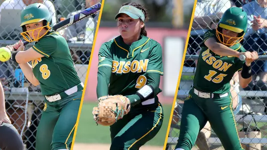 Padgett, Vargas, Licea