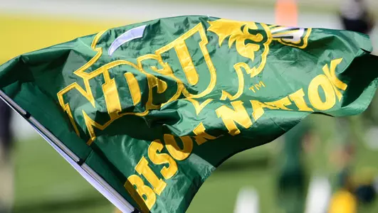 NDSU Bison Nation Flag