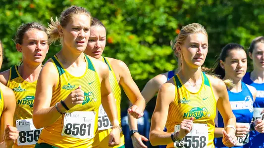 Alexis Roehl, Grace Link
