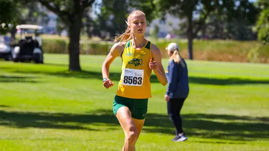 Allie Wahlund