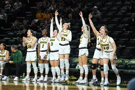 WBB Bench