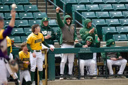 BSB Bench