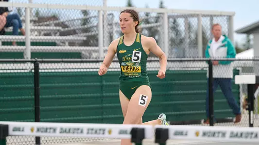 Bailee Dierks