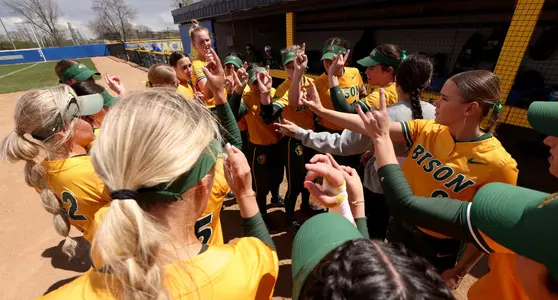 Softball Team Huddle
