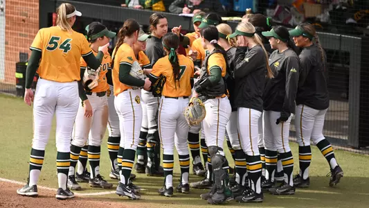Softball Team Huddle