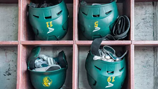 BSB Helmets