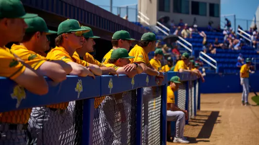 BSB Dugout