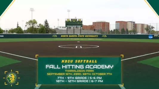 Softball Fall Hitting Academy Graphic