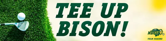 Tee Up Bison Header