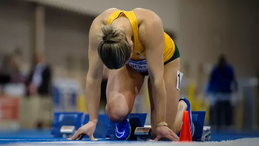 Elise Wisnewski