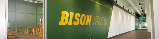 Bison Pride Wall