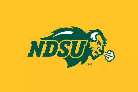 primary logo on yellow background
