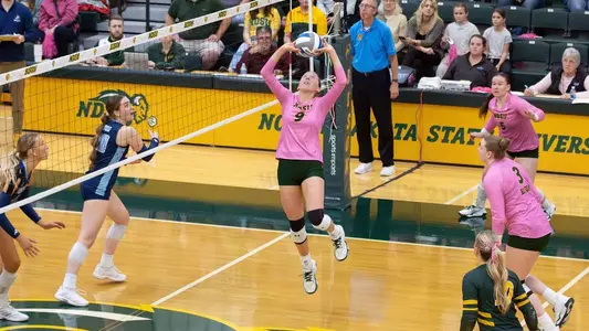 Sarah Pfiffner