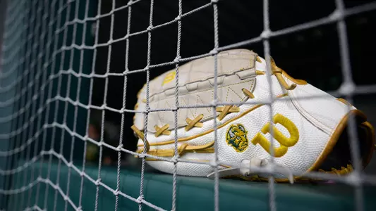 Softball Glove
