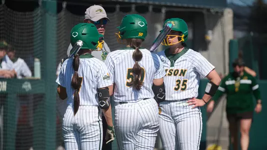 Softball Team Huddle