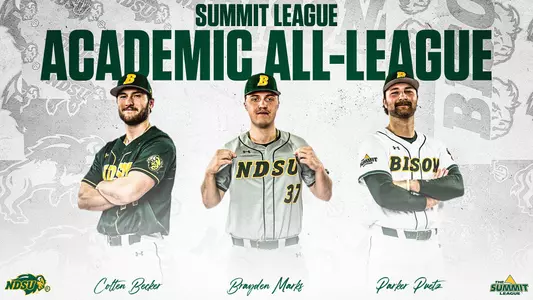 BSB Academic All-Summit League