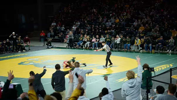 Wrestling with Crowd