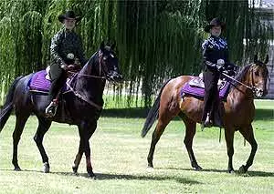 Juniors Katie Hartman and Stacy Steinhoff competed on the High Point Western team at Davis. Steinhoff capture High Point rider and Hartman took second in Intermediate II.