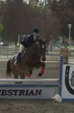 The English team had 14 riders place in the top five at the Bakersfield Show Feb. 3.