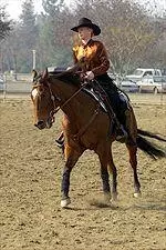 Senior Jessica Frazier won the Open Rail class of the western competition on Saturday.