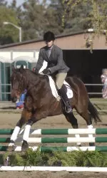 Fresno State claimed high point accolades at its spring season opener Jan. 15 in an English show hosted by UC Davis.