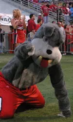 Bulldogs To Host Hawai'i For Homecoming