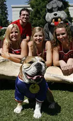 Nearly 100 Bulldogs wanted to become Fresno State's new mascot. The winner was Norman, a 2-year-old English Bulldog. He will know be known as Victor E. Dog.