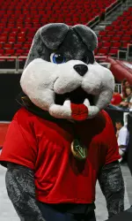 Bulldog fans flocked to the Save Mart Center Thursday night for some of the nation's best Volleyball and giveaways.