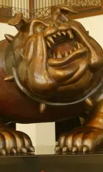 Watch today's press conference live on gobulldogs.com. It begins at Noon.