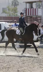 Junior Nicole Roworth won her point in the Equitation on the Flat with a score of 78.