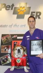 Pet ER has developed a close bond with Fresno State's live mascot, Victor E. Bulldog.