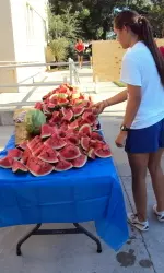 Nearly 250 runners from the Valley participated in the 46th Annual Fresno State Watermelon Run. All runners received free watermelon after the event.
