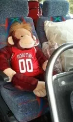 Crazy Monkey settles in on the team bus and is ready to travel with the team this season.